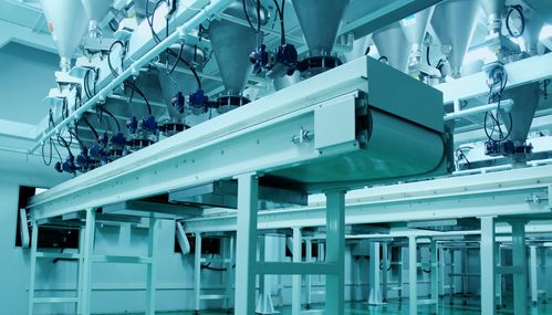 从生产到营销 数字化如何保障宠物食品安全经营